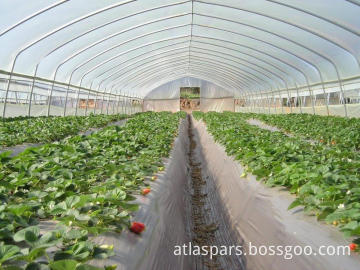 Get the latest prices from the suppliers greenhouse plastic in zimbabwe Get the latest prices from the suppliers greenhouse plastic in zimbabwe